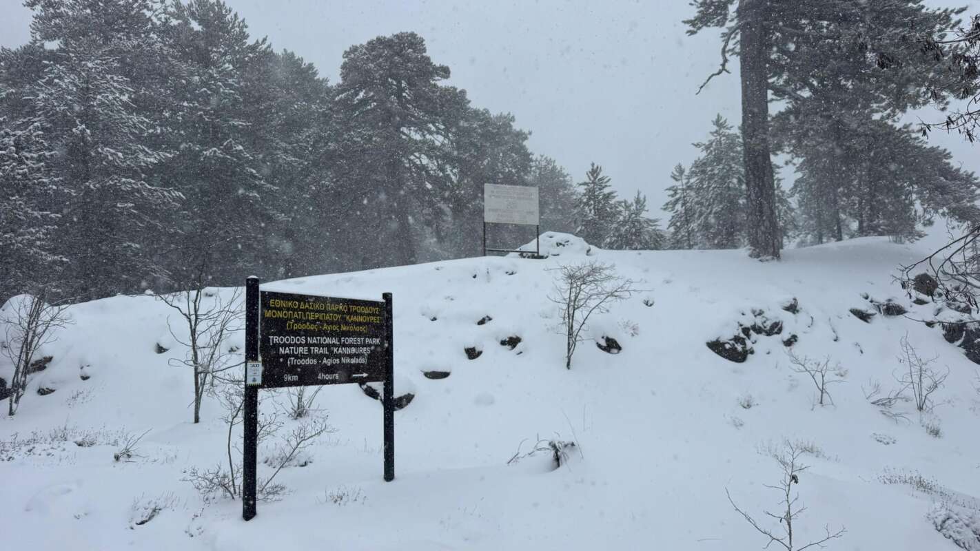 614953460 1205796575069369 7113211968470558138 N