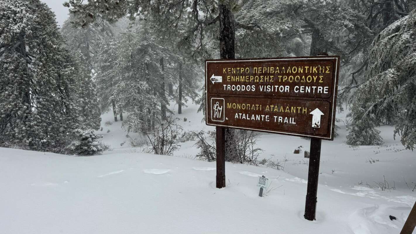 615086521 1205796665069360 9023983228520403866 N