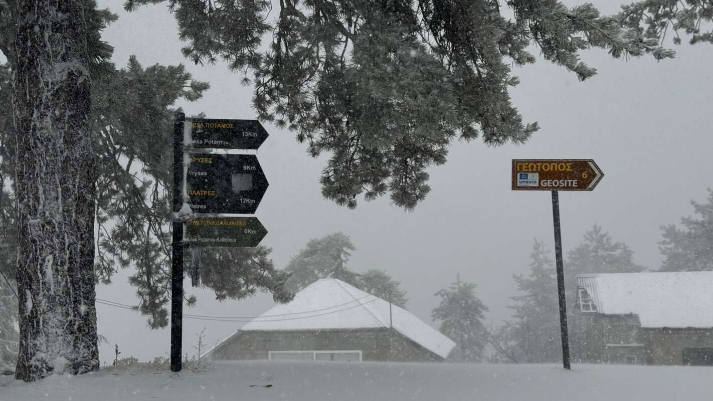 615164831 1205796721736021 835430308093691188 N