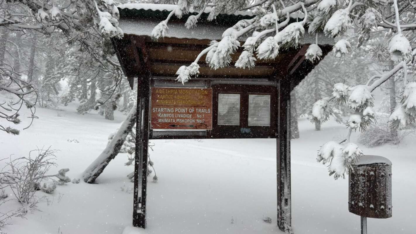 615211487 1205796605069366 4218856297157511889 N