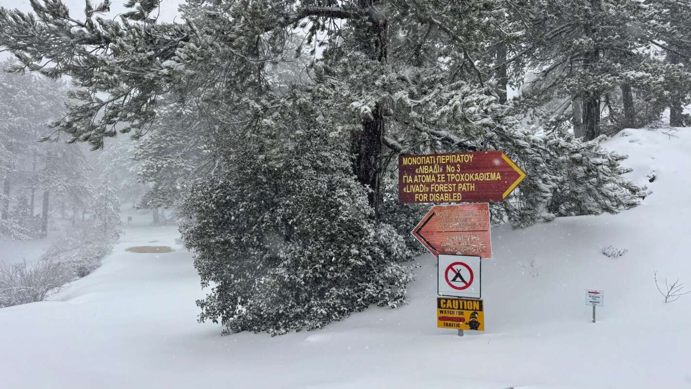 615357296 1205796635069363 7145834452405427085 N