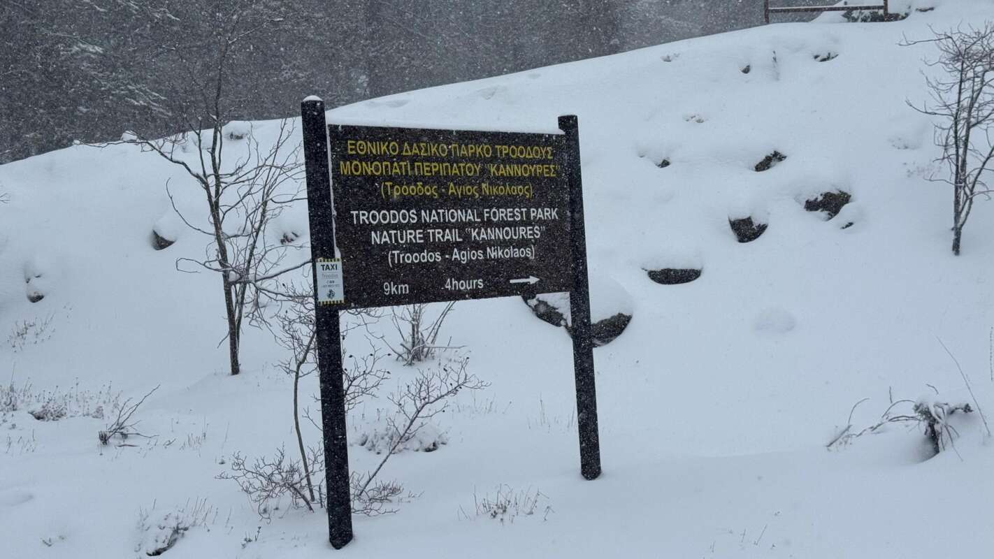 615416038 1205796745069352 7967770271304488033 N