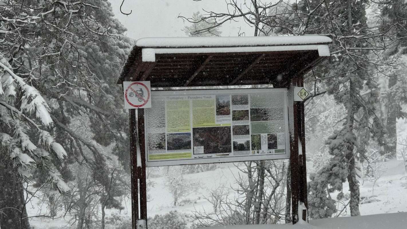 615793874 1205796641736029 6135629196231860970 N