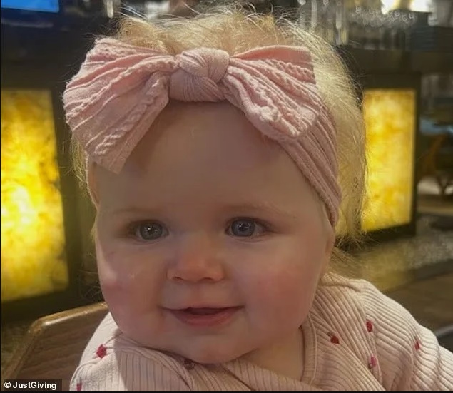 9mino Brefos Miniggitida